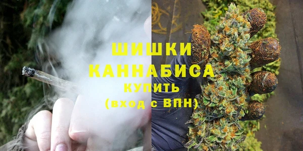 spice Арсеньев