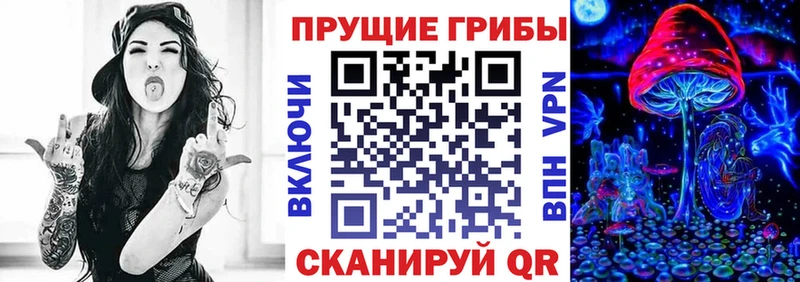 Псилоцибиновые грибы Psilocybe  Канаш 