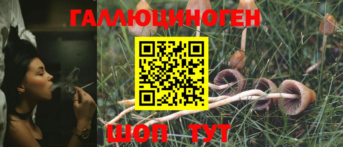 Галлюциногенные грибы Psilocybine cubensis  Вход с VPN  Канаш 