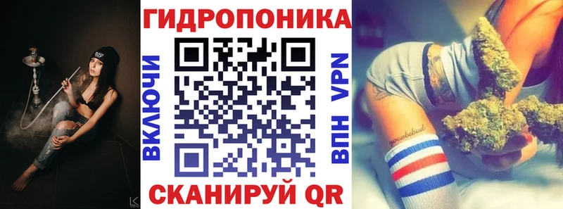 МАРИХУАНА конопля Канаш